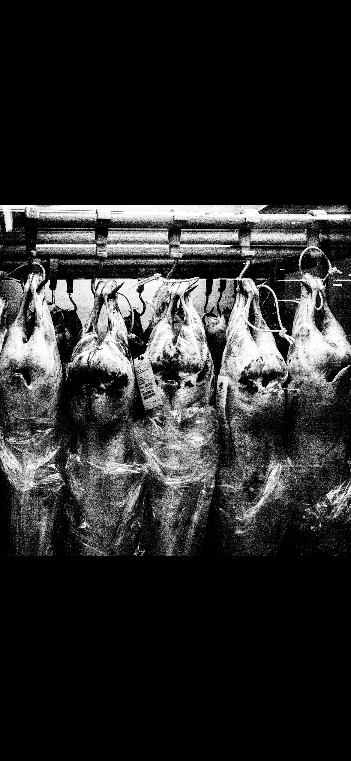 Black and white image of hanging meat in a market setting