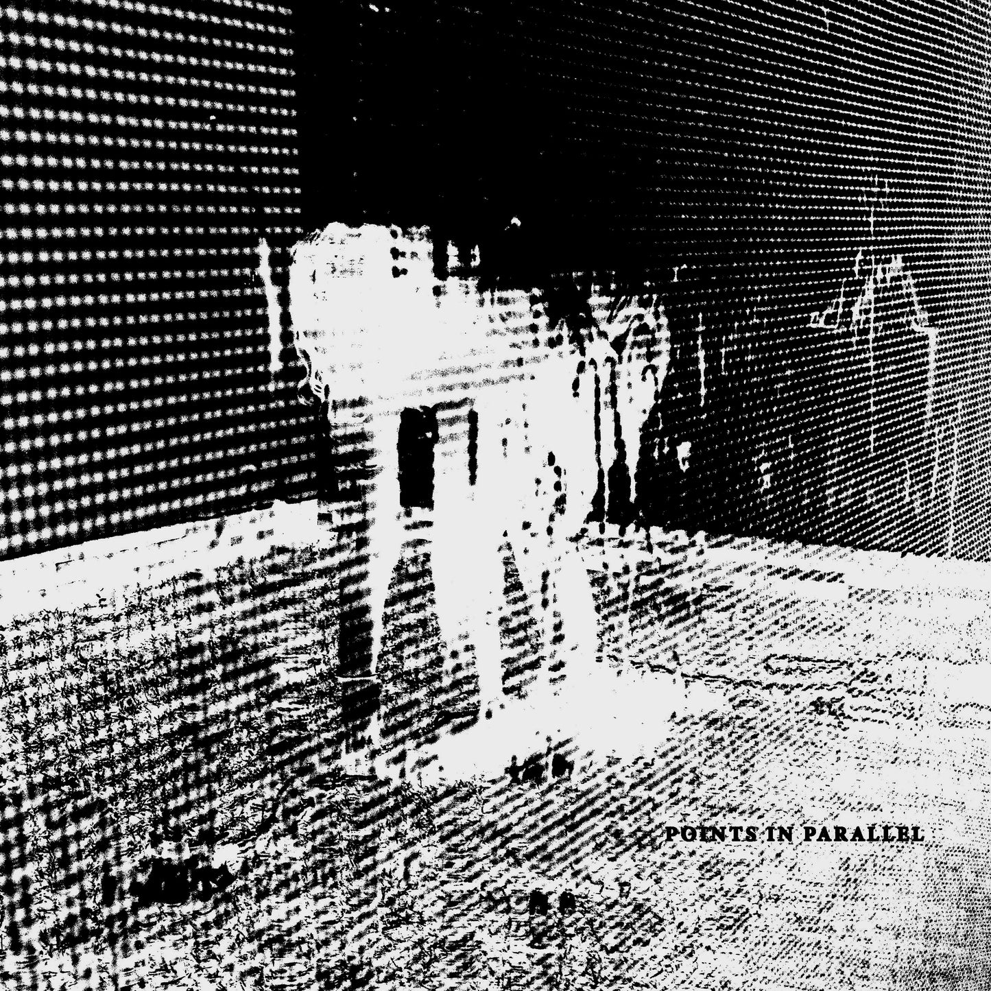 Points in Parallel (Digital Download)