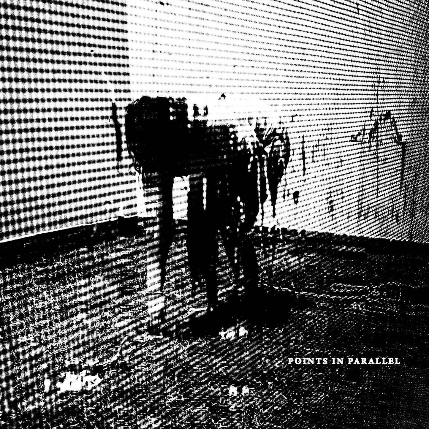 Points in Parallel (Digital Download)